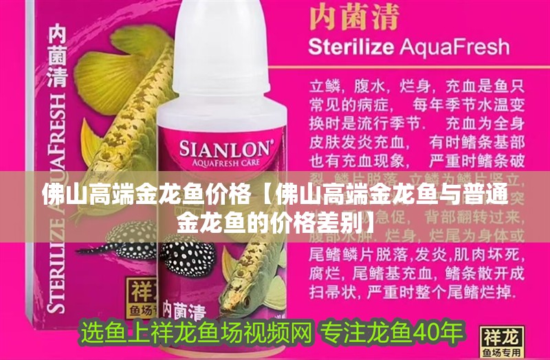 佛山高端金龍魚價格【佛山高端金龍魚與普通金龍魚的價格差別】