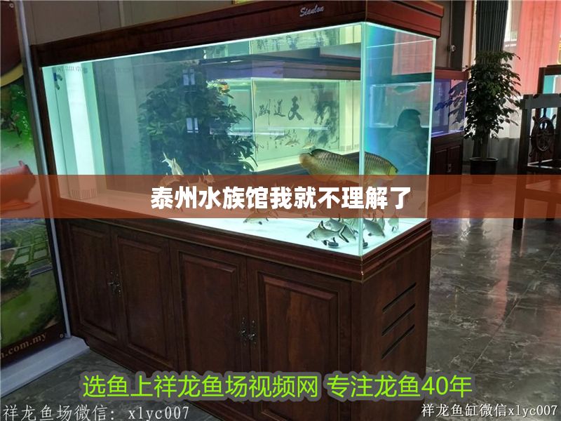 泰州水族館我就不理解了