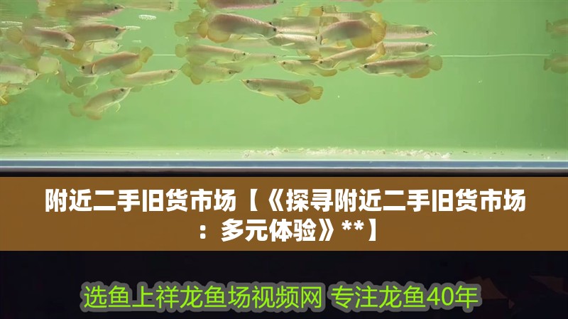 附近二手舊貨市場【《探尋附近二手舊貨市場：多元體驗》**】