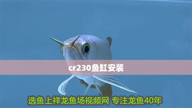 cr230魚缸安裝