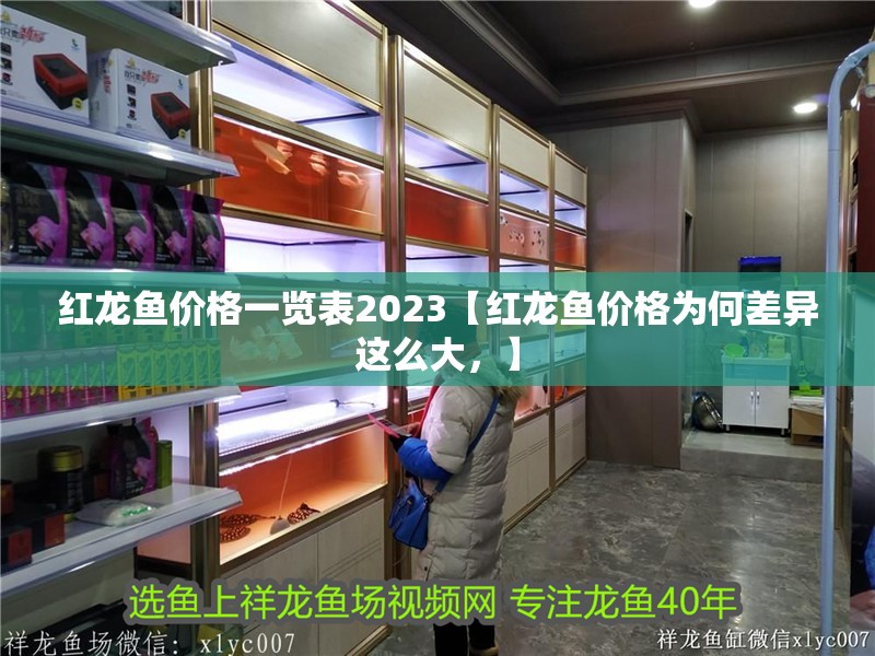 紅龍魚(yú)價(jià)格一覽表2023【紅龍魚(yú)價(jià)格為何差異這么大，】 紅龍魚(yú)價(jià)格一覽表2023【紅龍魚(yú)價(jià)格為何差異這么大，】 水族問(wèn)答