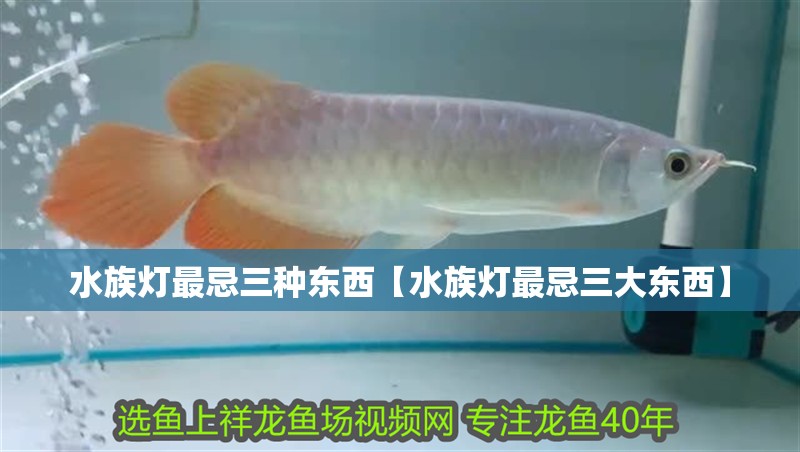 水族燈最忌三種東西【水族燈最忌三大東西】