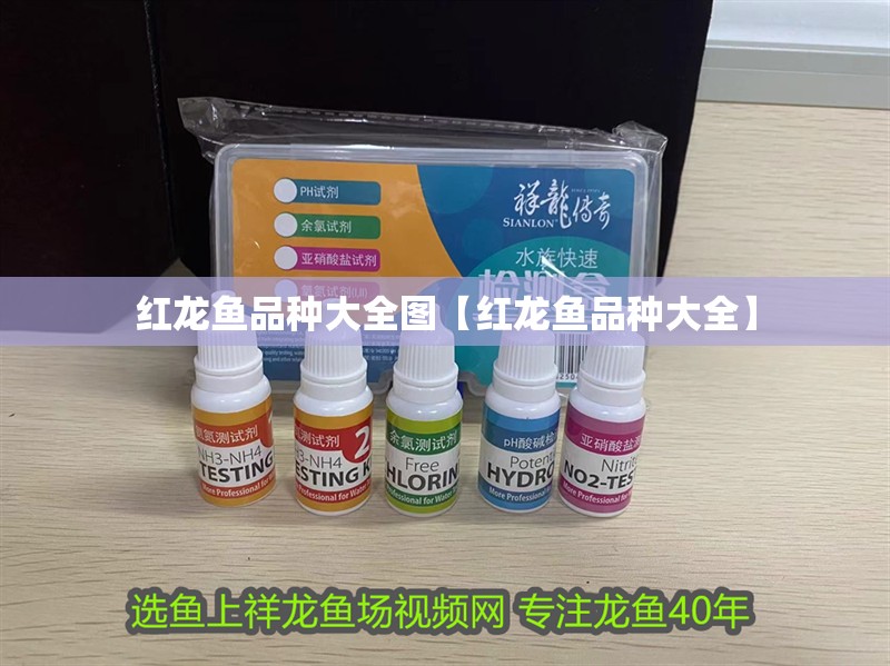 紅龍魚品種大全圖【紅龍魚品種大全】
