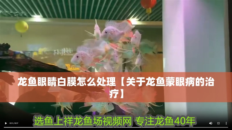 龍魚(yú)眼睛白膜怎么處理【關(guān)于龍魚(yú)蒙眼病的治療】