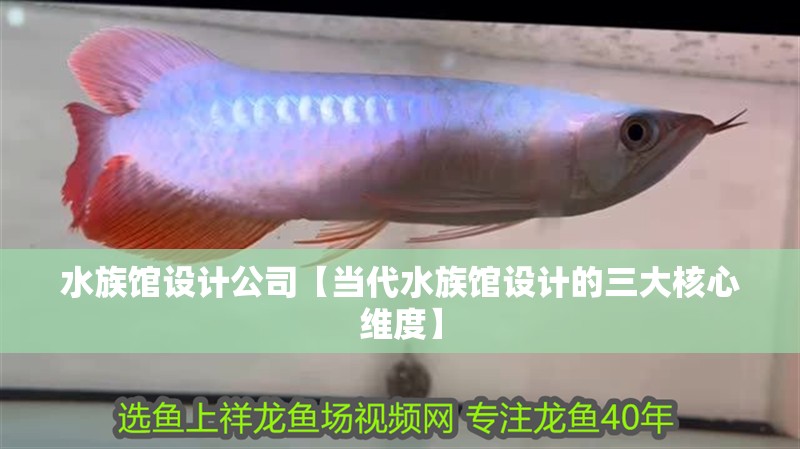 水族館設計公司【當代水族館設計的三大核心維度】