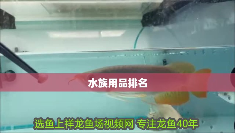 水族用品排名