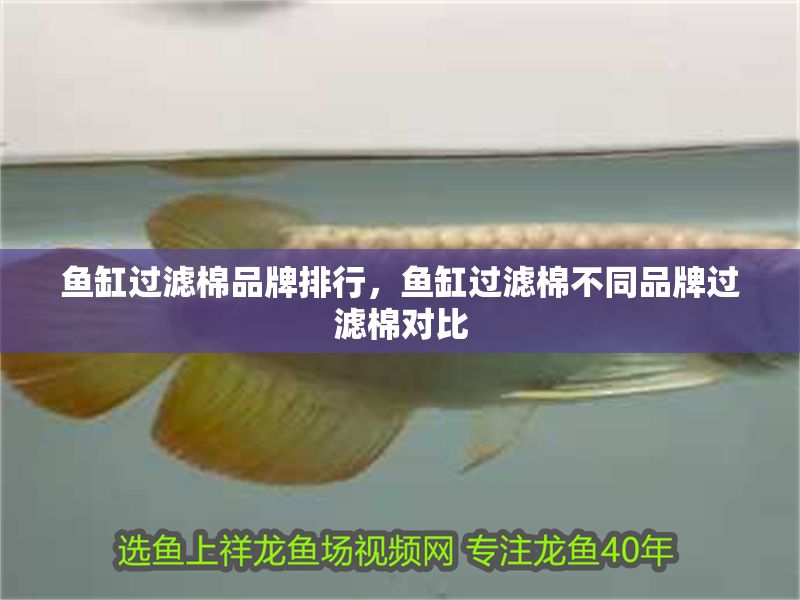 魚缸過濾棉品牌排行，魚缸過濾棉不同品牌過濾棉對比