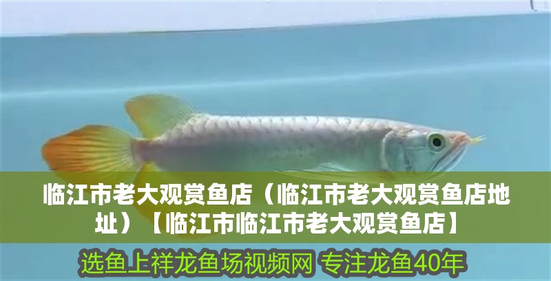 臨江市老大觀賞魚店（臨江市老大觀賞魚店地址）【臨江市臨江市老大觀賞魚店】