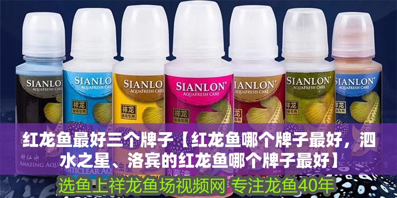 紅龍魚最好三個牌子【紅龍魚哪個牌子最好，泗水之星、洛賓的紅龍魚哪個牌子最好】 紅龍魚最好三個牌子【紅龍魚哪個牌子最好，泗水之星、洛賓的紅龍魚哪個牌子最好】 水族問答