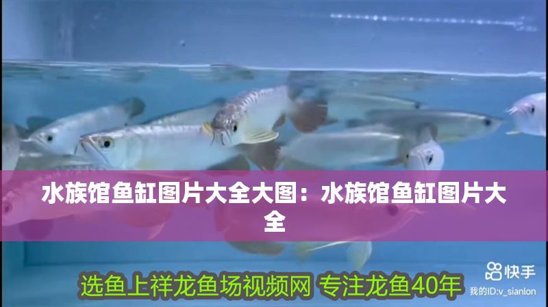 水族館魚缸圖片大全大圖:水族館魚缸圖片大全
