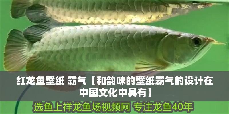 紅龍魚壁紙 霸氣【和韻味的壁紙霸氣的設(shè)計在中國文化中具有】