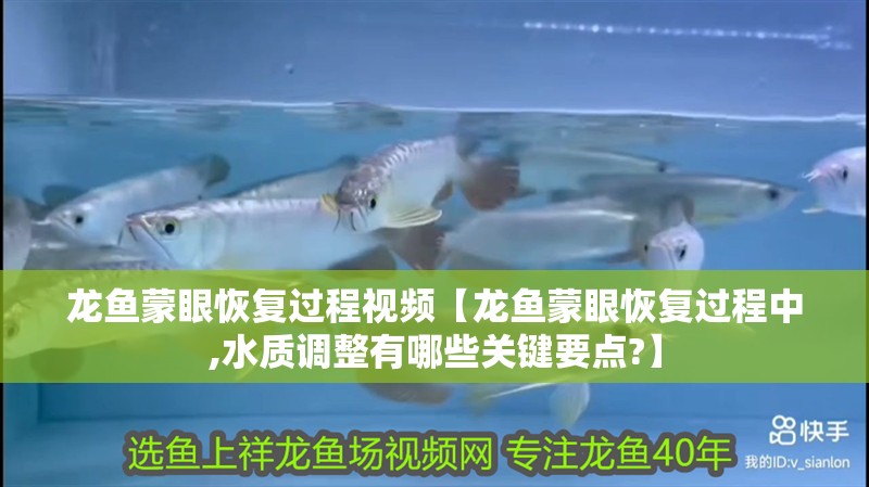 龍魚蒙眼恢復(fù)過程視頻【龍魚蒙眼恢復(fù)過程中,水質(zhì)調(diào)整有哪些關(guān)鍵要點(diǎn)?】