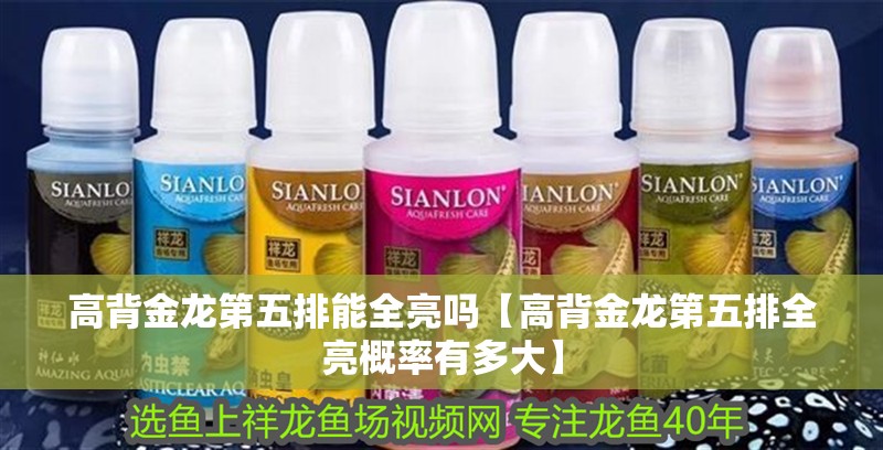 高背金龍第五排能全亮嗎【高背金龍第五排全亮概率有多大】