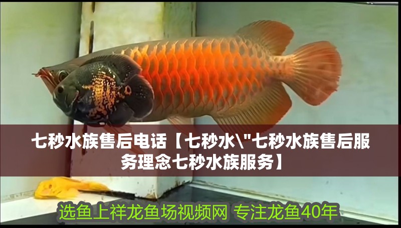 七秒水族售后電話【七秒水\