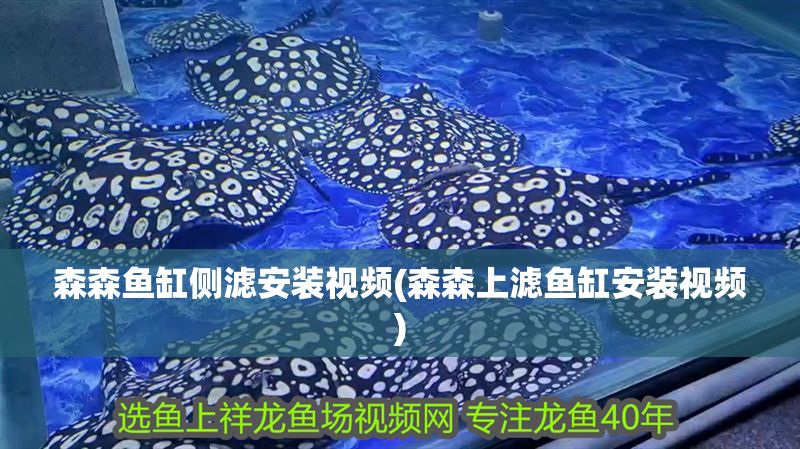 森森魚缸側(cè)濾安裝視頻(森森上濾魚缸安裝視頻)