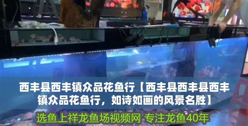 西豐縣西豐鎮(zhèn)眾品花魚行【西豐縣西豐縣西豐鎮(zhèn)眾品花魚行，如詩如畫的風(fēng)景名勝】