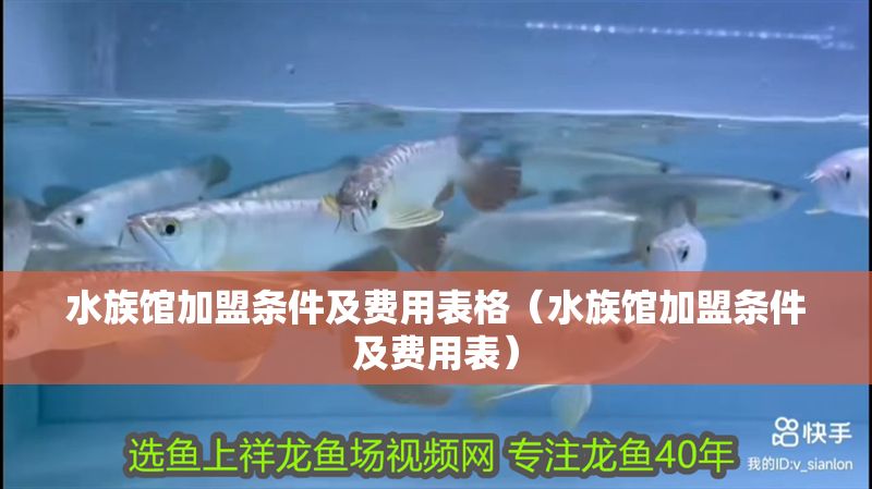 水族館加盟條件及費用表格（水族館加盟條件及費用表）