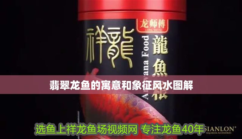 翡翠龍魚(yú)的寓意和象征風(fēng)水圖解