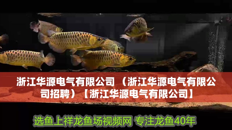 浙江華源電氣有限公司 （浙江華源電氣有限公司招聘）【浙江華源電氣有限公司】