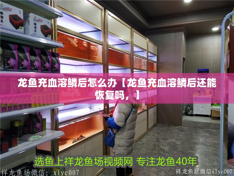 龍魚干蝦有營養嗎 龍魚充血溶鱗后怎么辦【龍魚充血溶鱗后還能恢復嗎,】 水族問答 龍魚充血溶鱗后怎么辦【龍魚充血溶鱗后還能恢復嗎,】 龍魚充血溶鱗后怎么辦【龍魚充血溶鱗后還能恢復嗎,】 水族問答