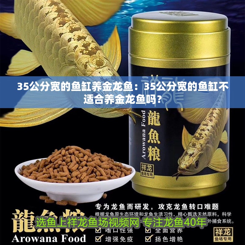 35公分寬的魚缸養金龍魚：35公分寬的魚缸不適合養金龍魚嗎？