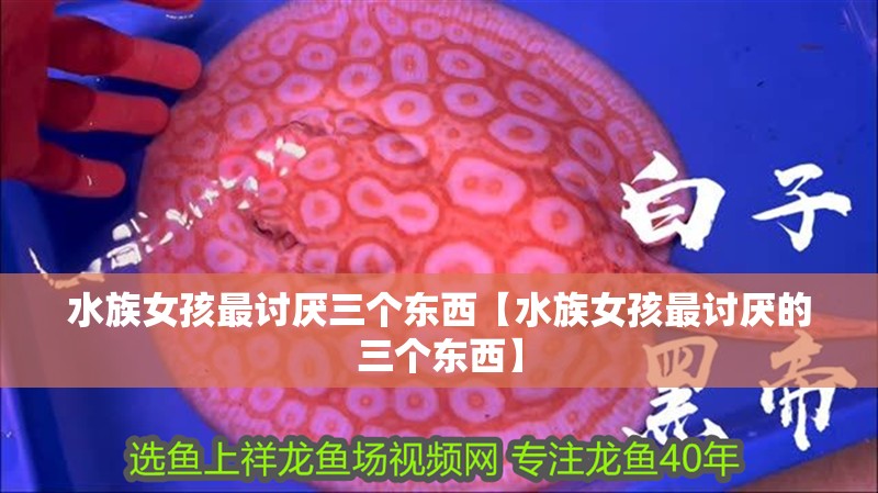 水族女孩最討厭三個東西【水族女孩最討厭的三個東西】