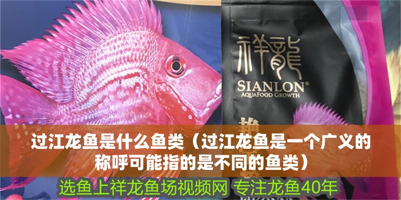 過江龍魚是什么魚類（過江龍魚是一個廣義的稱呼可能指的是不同的魚類）