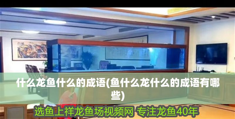 什么龍魚什么的成語(魚什么龍什么的成語有哪些)