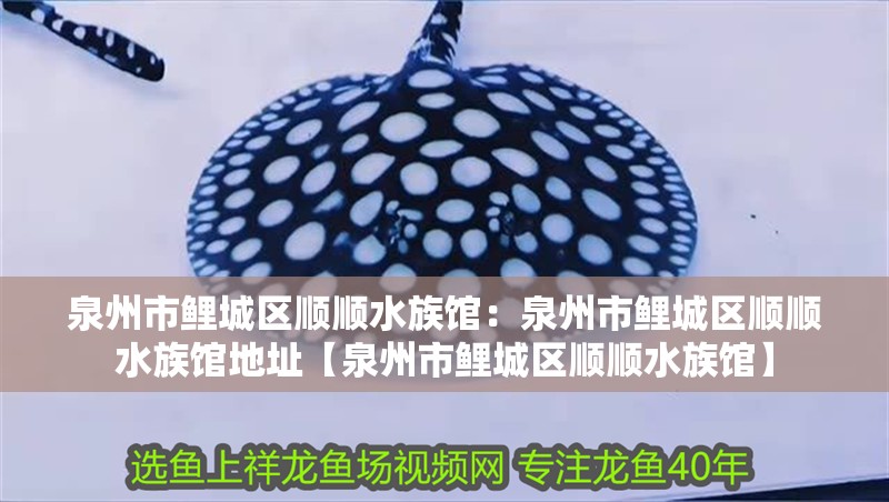 <strong><mark>泉州</mark></strong>市鯉城區順順水族館：<strong><mark>泉州</mark></strong>市鯉城區順順水族館地址【<strong><mark>泉州</mark></strong>市鯉城區順順水族館】