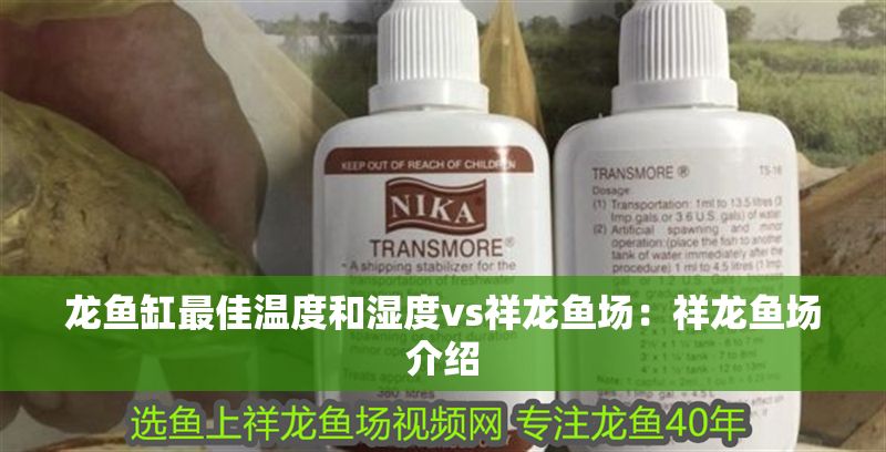 龍魚缸最佳溫度和濕度vs祥龍魚場：祥龍魚場介紹