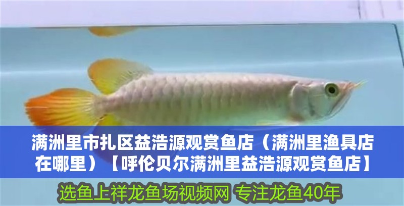 滿洲里市扎區益浩源觀賞魚店（滿洲里漁具店在哪里）【呼倫貝爾滿洲里益浩源觀賞魚店】 滿洲里市扎區益浩源觀賞魚店（滿洲里漁具店在哪里）【呼倫貝爾滿洲里益浩源觀賞魚店】 全國水族館企業名錄