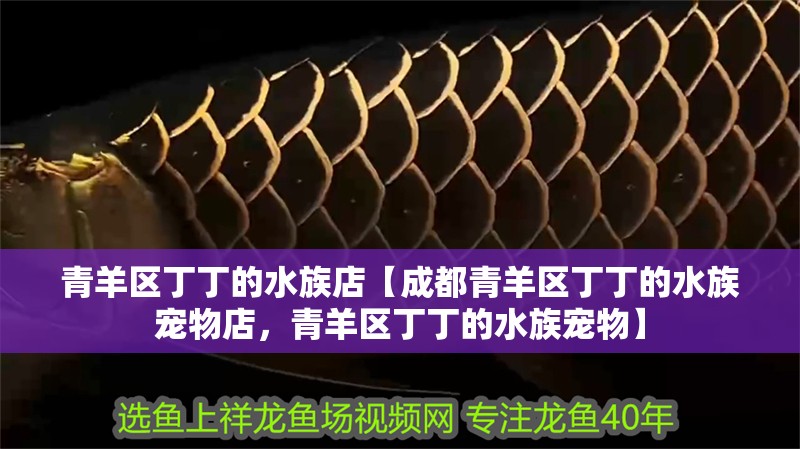 青羊區(qū)丁丁的水族店【成都青羊區(qū)丁丁的水族寵物店，青羊區(qū)丁丁的水族寵物】 青羊區(qū)丁丁的水族店【成都青羊區(qū)丁丁的水族寵物店，青羊區(qū)丁丁的水族寵物】 全國水族館企業(yè)名錄