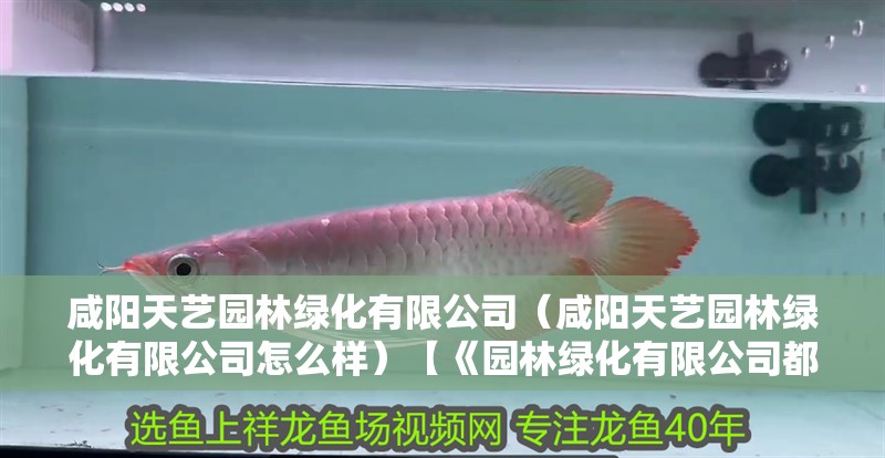 咸陽天藝園林綠化有限公司（咸陽天藝園林綠化有限公司怎么樣）【《園林綠化有限公司都能夠保證施工質量》】