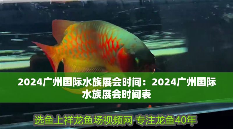 2024廣州國際水族展會時間：2024廣州國際水族展會時間表