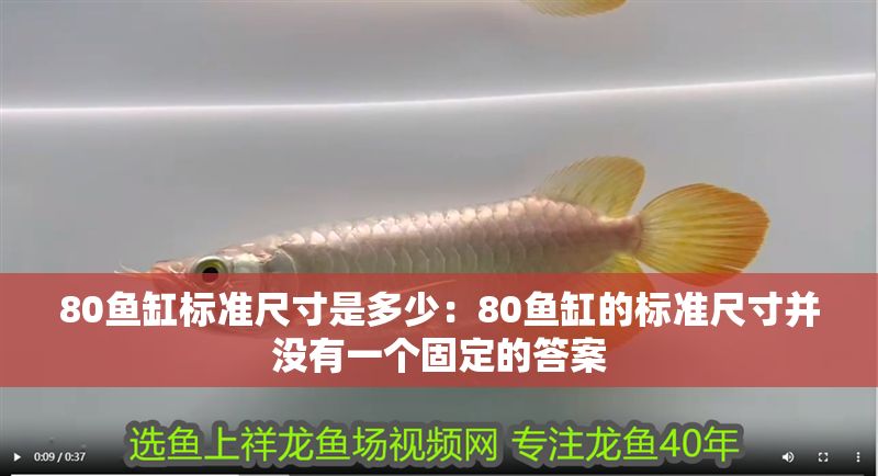 80魚缸標(biāo)準(zhǔn)尺寸是多少：80魚缸的標(biāo)準(zhǔn)尺寸并沒有一個(gè)固定的答案