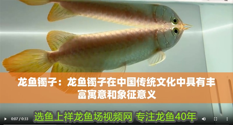 龍魚鐲子：龍魚鐲子在中國傳統文化中具有豐富寓意和象征意義