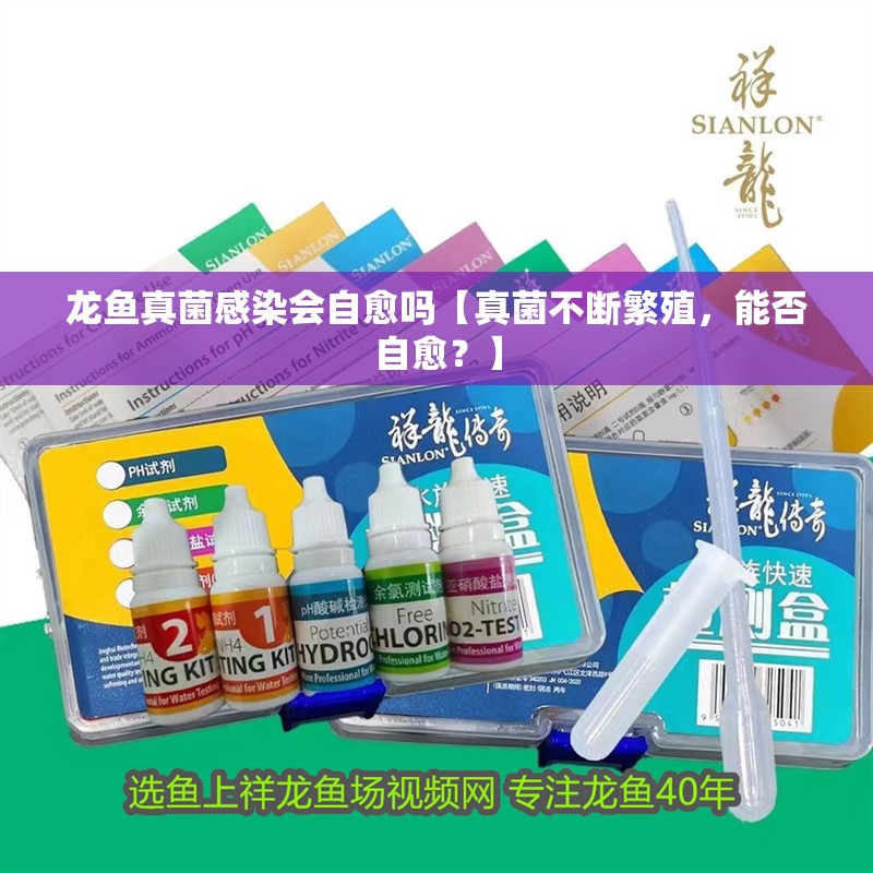 龍魚真菌感染會自愈嗎【真菌不斷繁殖，能否自愈？】 龍魚真菌感染會自愈嗎【真菌不斷繁殖，能否自愈？】 水族問答