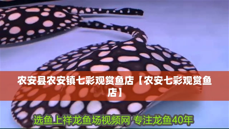農(nóng)安縣農(nóng)安鎮(zhèn)七彩觀賞魚店【農(nóng)安七彩觀賞魚店】