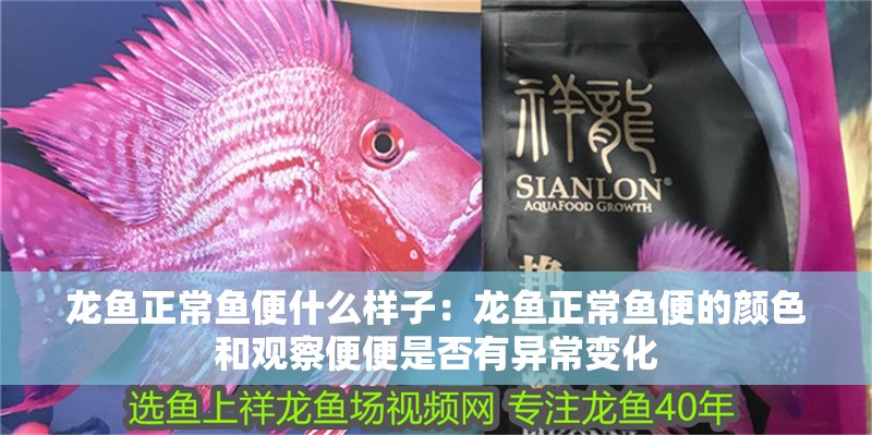 龍魚正常魚便什么樣子：龍魚正常魚便的顏色和觀察便便是否有異常變化