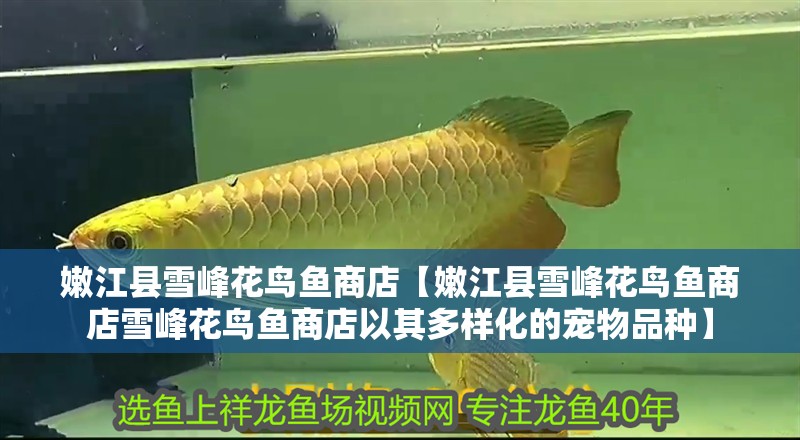 魚缸用增氧泵價格是多少:魚缸增氧機-xtrac增氧機-xtrac增氧機 嫩江縣雪峰花鳥魚商店【嫩江縣雪峰花鳥魚商店雪峰花鳥魚商店以其多樣化的寵物品種】 全國水族館企業(yè)名錄 嫩江縣雪峰花鳥魚商店【嫩江縣雪峰花鳥魚商店雪峰花鳥魚商店以其多樣化的寵物品種】 嫩江縣雪峰花鳥魚商店【嫩江縣雪峰花鳥魚商店雪峰花鳥魚商店以其多樣化的寵物品種】 全國水族館企業(yè)名錄