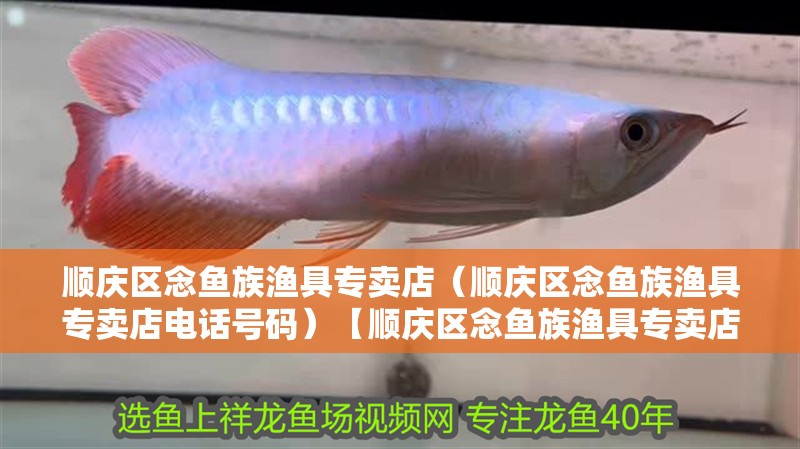 順慶區(qū)念魚族漁具專賣店（順慶區(qū)念魚族漁具專賣店電話號(hào)碼）【順慶區(qū)念魚族漁具專賣店】