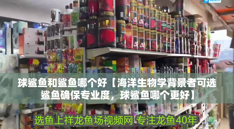 球鯊魚(yú)和鯊魚(yú)哪個(gè)好【海洋生物學(xué)背景者可選鯊魚(yú)確保專(zhuān)業(yè)度，球鯊魚(yú)哪個(gè)更好】