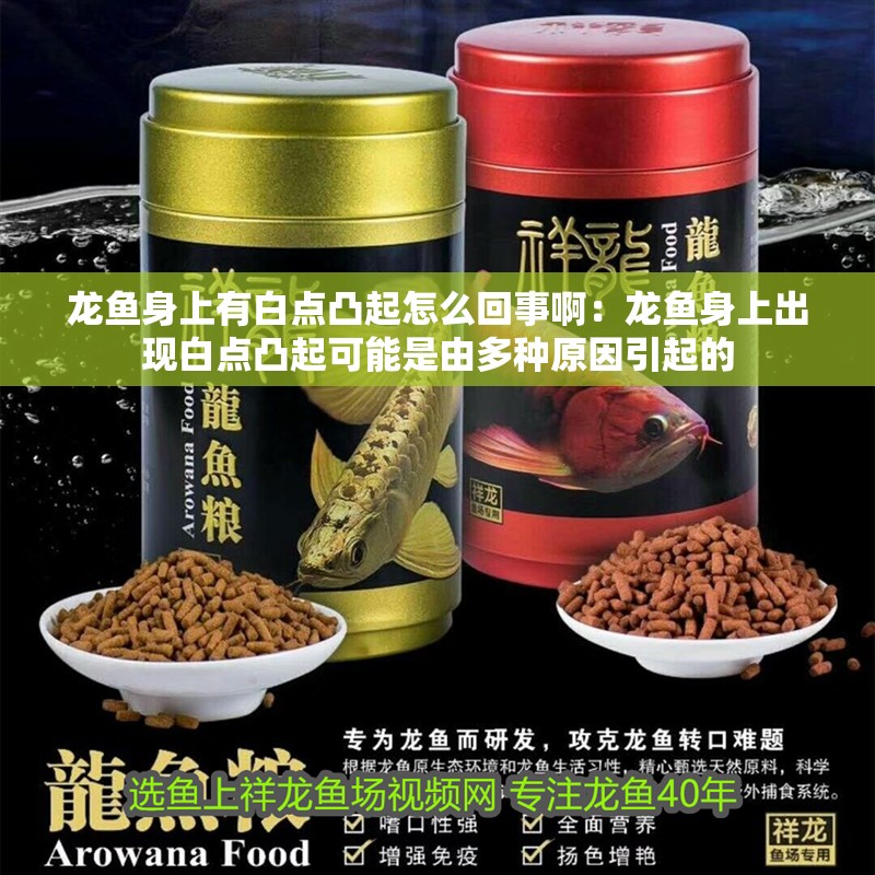 龍魚身上有白點凸起怎么回事啊：龍魚身上出現白點凸起可能是由多種原因引起的