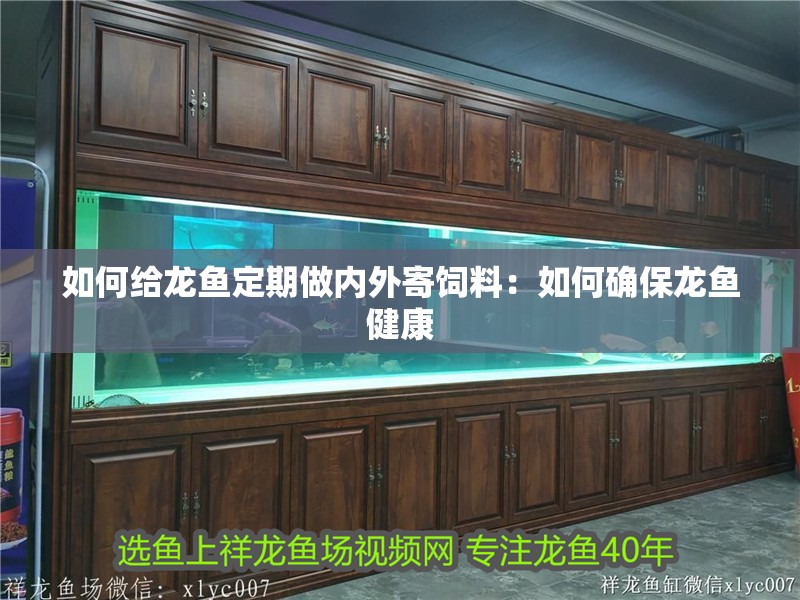 如何給龍魚定期做內外寄飼料：如何確保龍魚健康