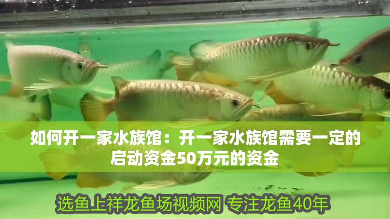 如何開一家水族館：開一家水族館需要一定的啟動(dòng)資金50萬(wàn)元的資金