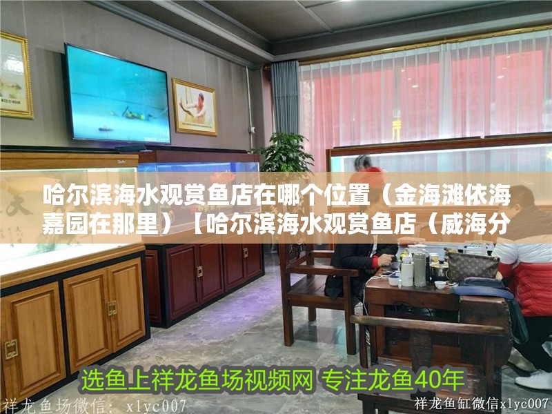 哈爾濱海水觀賞魚店在哪個位置（金海灘依海嘉園在那里）【哈爾濱海水觀賞魚店（威海分校、威海分校、威海分校）】 哈爾濱海水觀賞魚店在哪個位置（金海灘依海嘉園在那里）【哈爾濱海水觀賞魚店（威海分校、威海分校、威海分校）】 全國水族館企業名錄