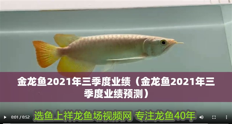 金龍魚2021年三季度業績（金龍魚2021年三季度業績預測）