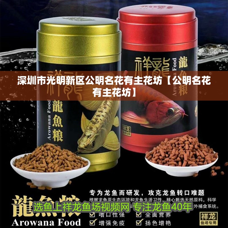 深圳市<strong><mark>光明</mark></strong>新區公明名花有主花坊【公明名花有主花坊】