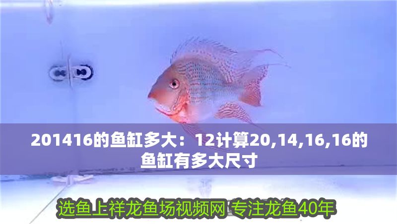 201416的魚缸多大：12計算20,14,16,16的魚缸有多大尺寸