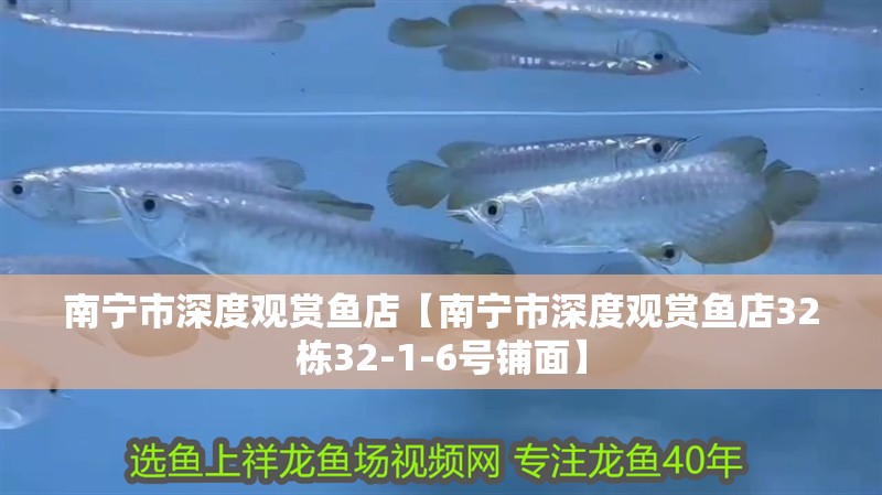 南寧市深度觀賞魚(yú)店【南寧市深度觀賞魚(yú)店32棟32-1-6號(hào)鋪面】 南寧市深度觀賞魚(yú)店【南寧市深度觀賞魚(yú)店32棟32-1-6號(hào)鋪面】 全國(guó)水族館企業(yè)名錄